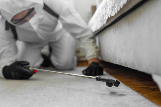 Professional Pest Control technician working in New York Mills, MN