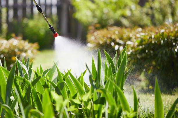 24/7 Emergency Fumigation Services experts in New York Mills, MN