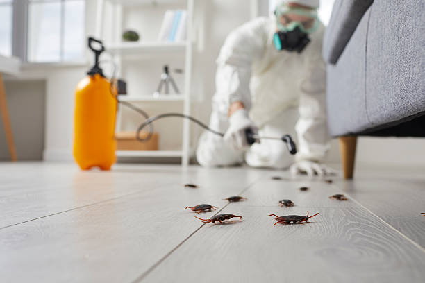 Trusted Mosquito Control service in New York Mills, MN - Nex Pest Control